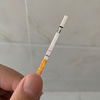 这个是怀孕了吗