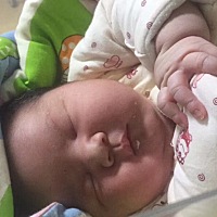 找人看过 准啦 小棉袄一枚 11斤半 母女平安