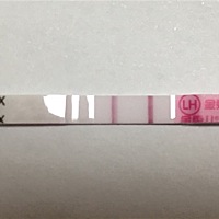 终于等到强阳咯！希望浪漫的二月，能顺利怀上小闺女哈