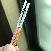 2月9号排卵，今天同房后10天，早上测了下比碗还白！估计凉了！有同天测出来的没？
