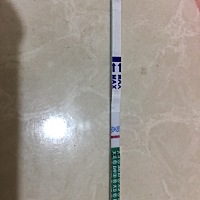 姨妈14号结束，15号同房，这是怀上了没？不会看呀，大家帮我看看