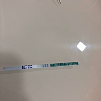 上个月11号来的例假，这个月推迟了十一天了，早上检测了一下，请问大家我这是怀孕了吗