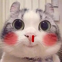 生完宝宝第一次发圈，有没有宝妈追奶成功分享下经验呗，感谢