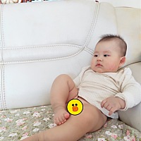 半岁了，这几个月来元宝越来越有大爷的风采了……哈哈哈哈哈哈😂
