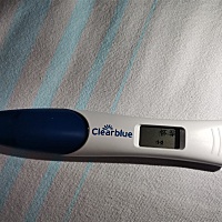 坚持了打卡了十几天的减肥运动该停了！