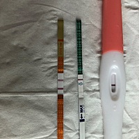 备孕快两年了，上面两个早早孕，下面一个是排卵