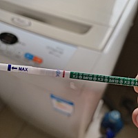 算两条吗……