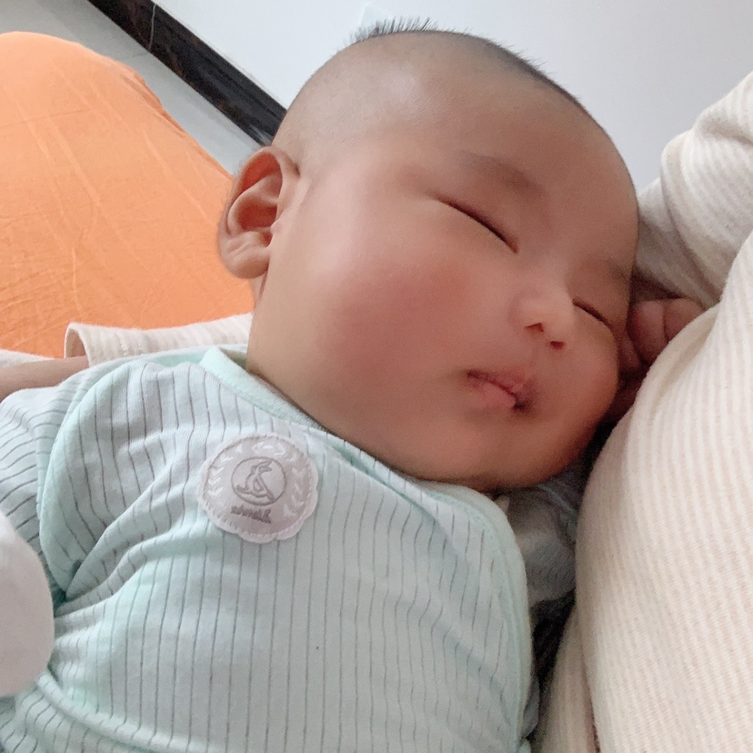 我家小柠檬