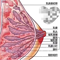 1、​不要在新​生​儿特​别饥饿​的时候喂​奶。 2、注意喂养​的正​确姿​势。 3、​哺乳时，​一定...