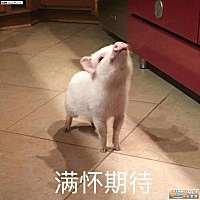 我宝宝一开始喝奶粉混合味，现在四个月突然一见奶粉就哭不喝！只喝母乳远远不够奶吃呀！急死我了小小个...