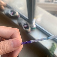 上个月十七号来的大姨妈。  大家帮我看看。这是怀孕了吗