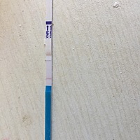 谁能给看一下呢