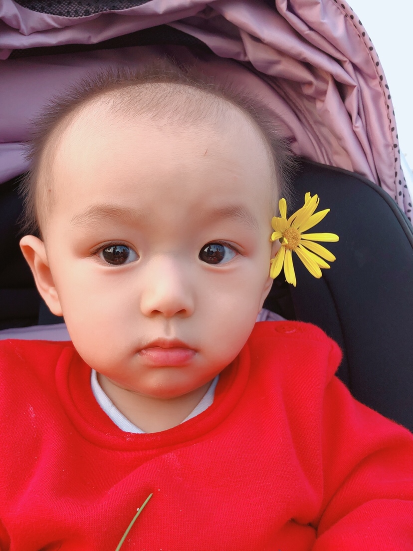 八个月