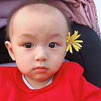 2018年11月的小奶狗来加入我们👇 聊聊带娃的那些事～～ 八个月 八个月 百天 五个月 九个月 12个月 五...