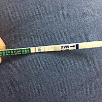 12号排卵，今天下午测的