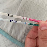 怀了嘛？？是不是要去医院确定一下了