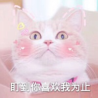 对于一个95后宝妈的我来说👨‍👩‍👦 婚烟情感当中我最忌讳的就是出轨⚠️ 其次就是家暴⚠️ 我今...