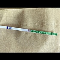 不知道这个是有了还是没怀孕