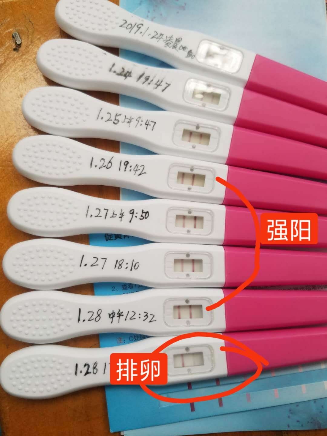 排卵监测神器