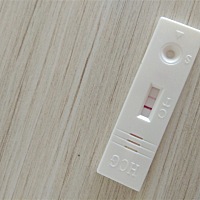 1月28例假，2日14日排卵日。希望大家都好孕。