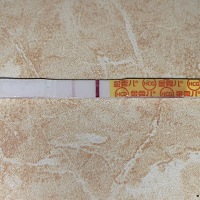 这是有了吗？还有两天来大姨妈
