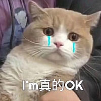 快坚持不下去了，母乳太多了，堵奶 请了通乳师弄了两个多小时将近三小时也没通 去医院两次，一次排空 排...
