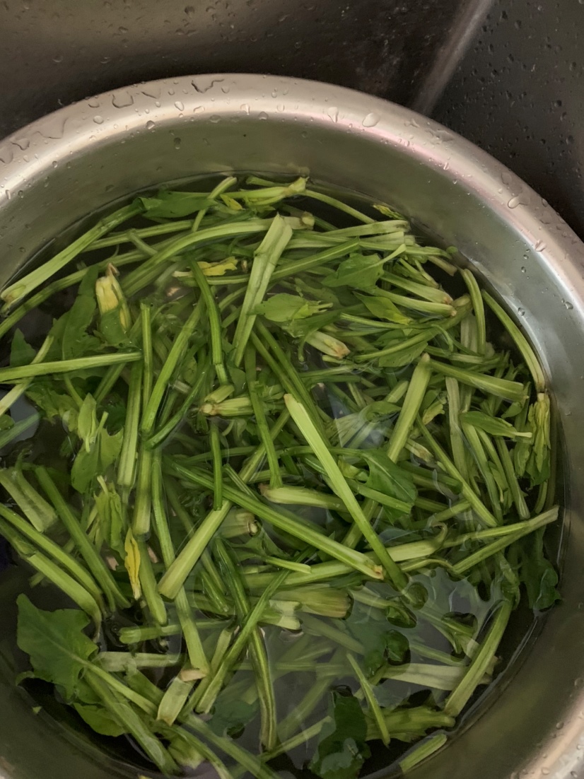 我吃的青菜
