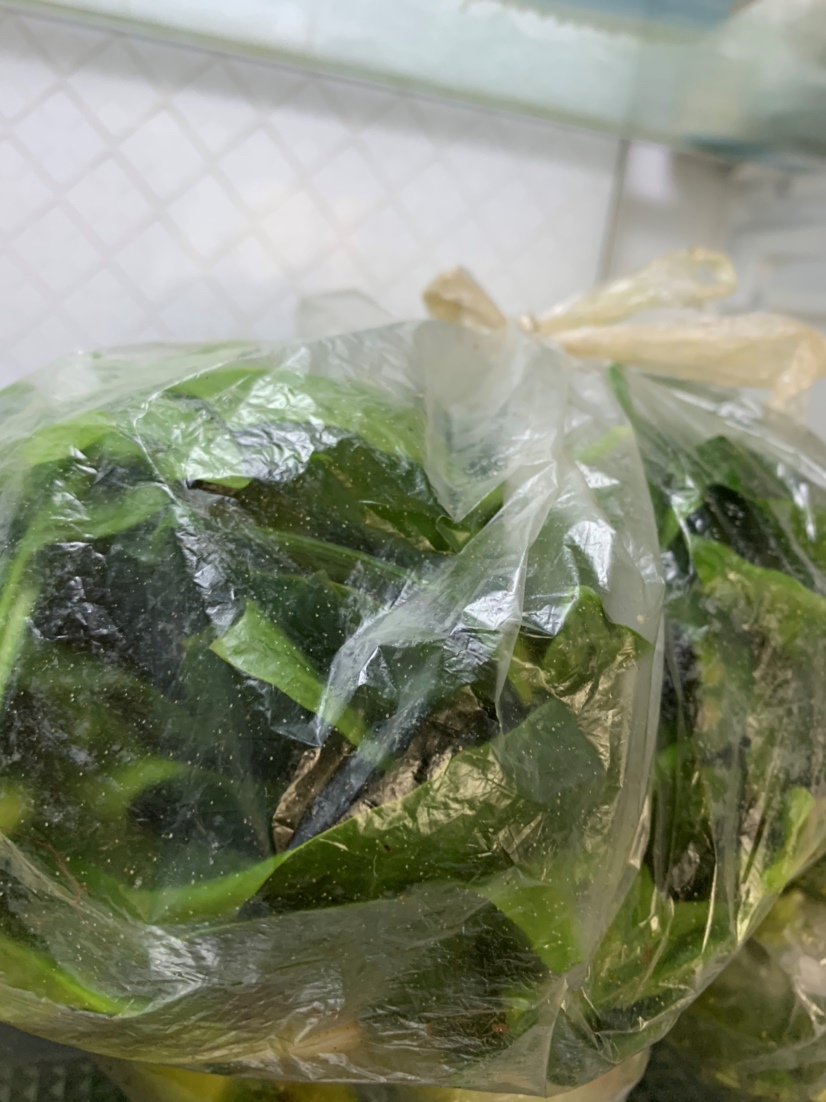 冰箱里跟宝宝剩的青菜