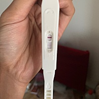 末次月经1月27，2月10排卵，9和11安排同房，月经推迟3天，昨天今天测了两次，请各位亲帮忙看一下是有了...