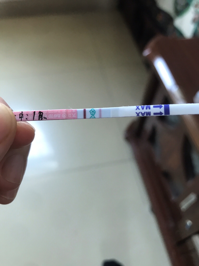 备孕，排卵试纸