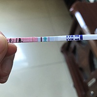 有人会看吗 备孕，排卵试纸