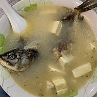 我的小咪咪是没救了，我早就放弃自己了，公婆还是不死心，哈哈哈，那我就喝喝喝