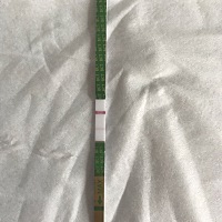 1月30日来的大姨妈，今天到公司忍不住测试的（不是晨尿）我想说这是中了嘛？为什么感觉有点肚子不舒服要...