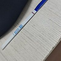1月26月经结束，2月20号试纸试出俩条杠，试俩次，大家都看着是俩条，一条明显，一条不明显，就通知家人...