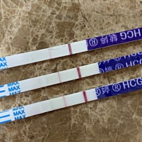 2月16日排卵的，这是2月24，25，27号测试的结果