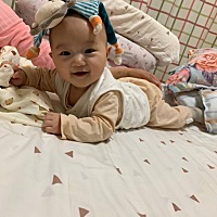 辛巴与它的坐骑。😄