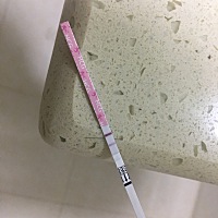 弱弱问句，这是怀了吗？