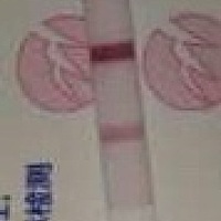 b谁帮看一下 这个是怀孕了吗？