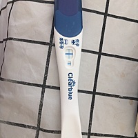 接下来需要做什么，感觉什么都不懂