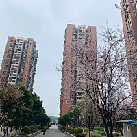 终于出门了！