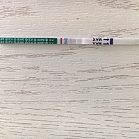 上个月2月1号来的例假，一般都是28天周期，这个月还没来，早上用试纸测没有印记，这是放置大概5分钟之后...