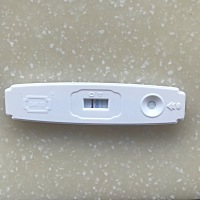 17号排卵的，这两天本来该来姨妈的也没来