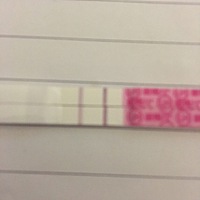 今天测两个排卵试纸都是阳性还没强阳。测了可丽兰白板这个月还有机会吗