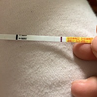 21号排卵日安排了，这是两条吗刚刚测的