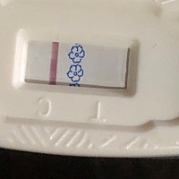 隐隐约约看到一条 是我看魔怔了？之前例假都是提前两三天就来了 今天还没来 是怀孕了吗？