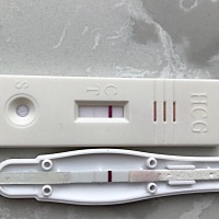 查血没怀孕，但是试纸这样，还能是怀孕吗
