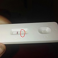排卵后十一天