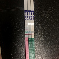 请各位帮忙🙁25 26 27都安排了