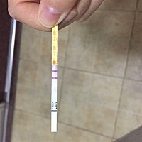 我从3月份开始备孕，一直想要个猪宝宝，备孕两三个月，什么方法都试了一遍过。都没有中 第一个月，没中...