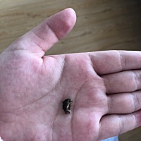 唯一一个跟👩🏻的联系的脱落了，👩🏻希望你以后健康快乐成长每一天！